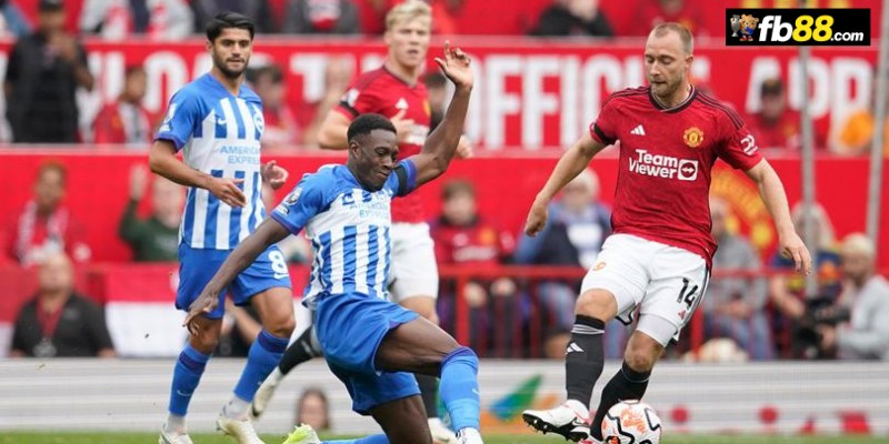 Chuyên gia FB88 nhận định Brighton vs Manchester United