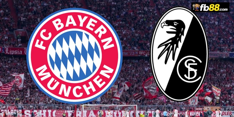 Soi kèo Bayern Munich vs Freiburg 22h30 01/9/2024: VĐQG Đức