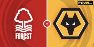 Soi kèo Nottingham vs Wolves 21h 31/08/2024: Ngoại hạng Anh