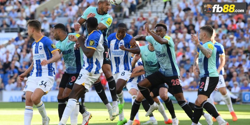 Chuyên gia FB88 nhận định Newcastle vs Brighton Hove Albion