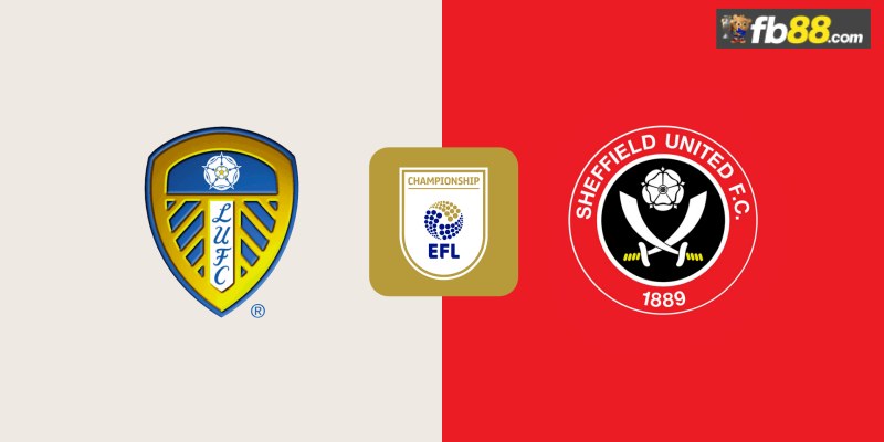 Soi kèo Leeds vs Sheffield United lúc 02h00 ngày 19/10/2024