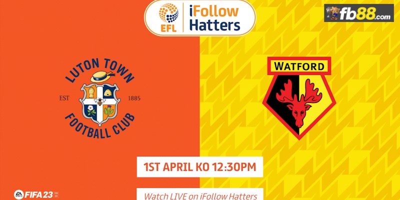 Soi kèo Luton Town vs Watford lúc 18h30 ngày 19/10/2024