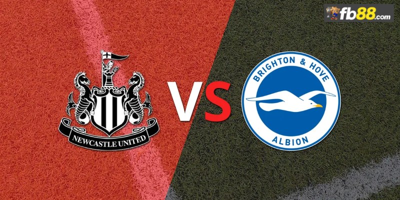 Soi kèo Newcastle vs Brighton Hove Albion 21h ngày 19/10/24